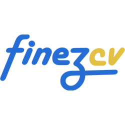 FINEZCV BLOG